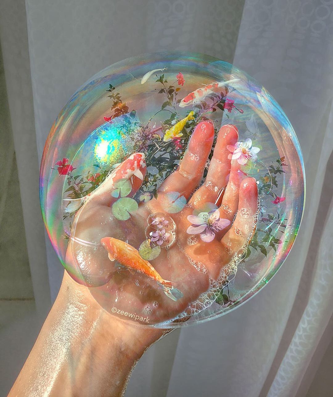 Koi Bubble