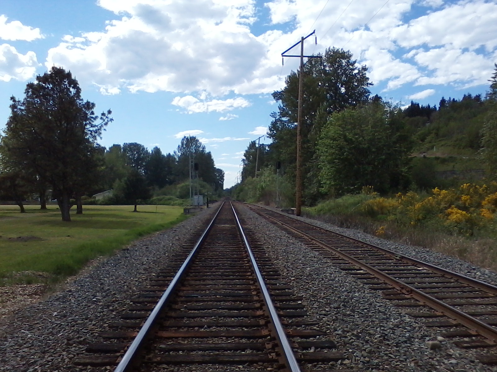 looking down sumner wa railroad tracks