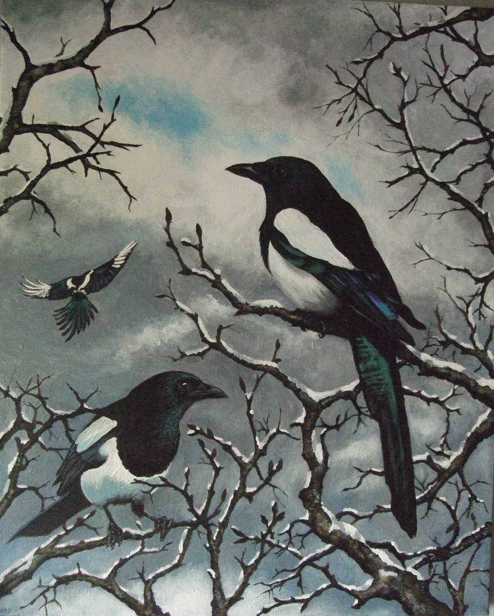 Magpies