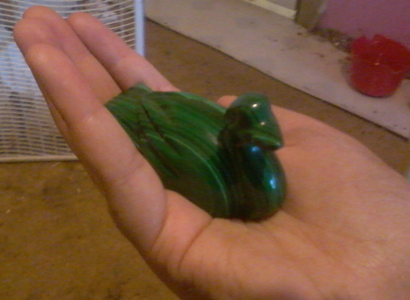 Malachite duck 3