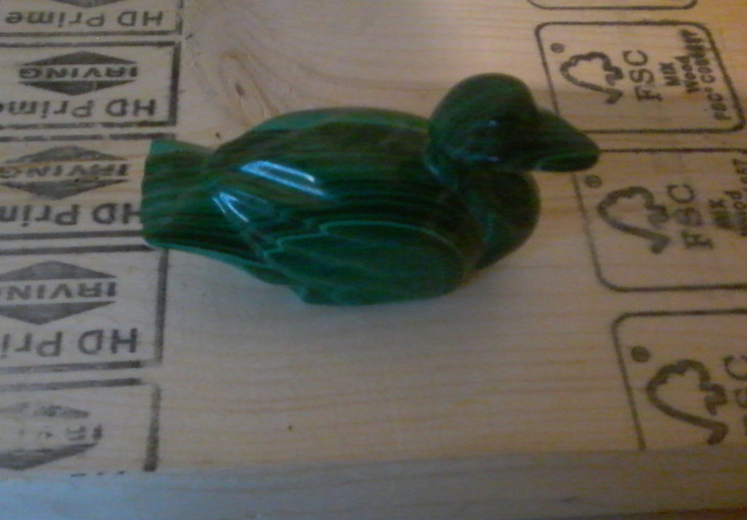 Malachite duck