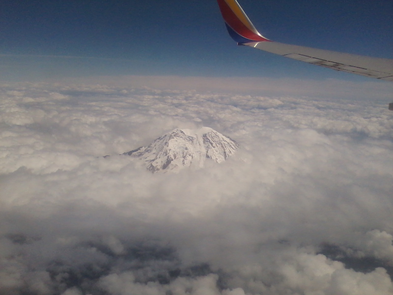 mount rainier in wa