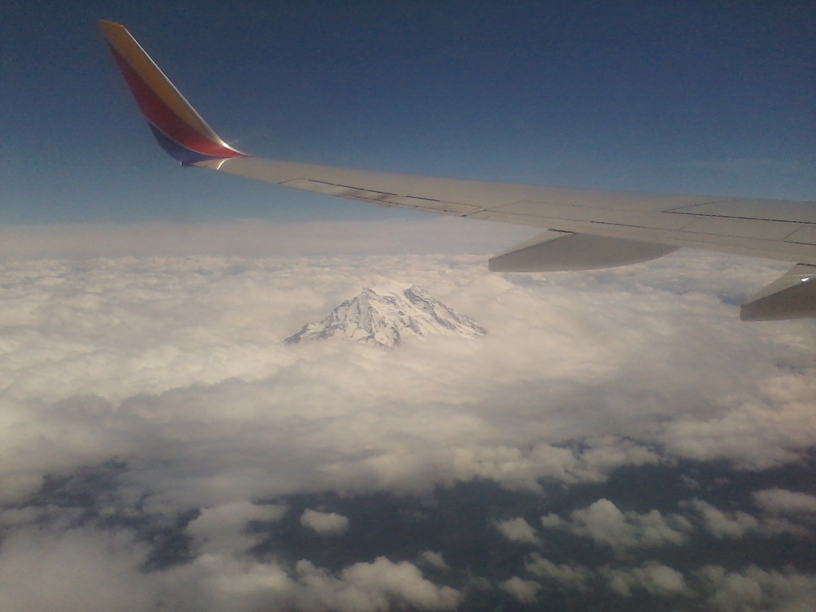 mount rainier in wa