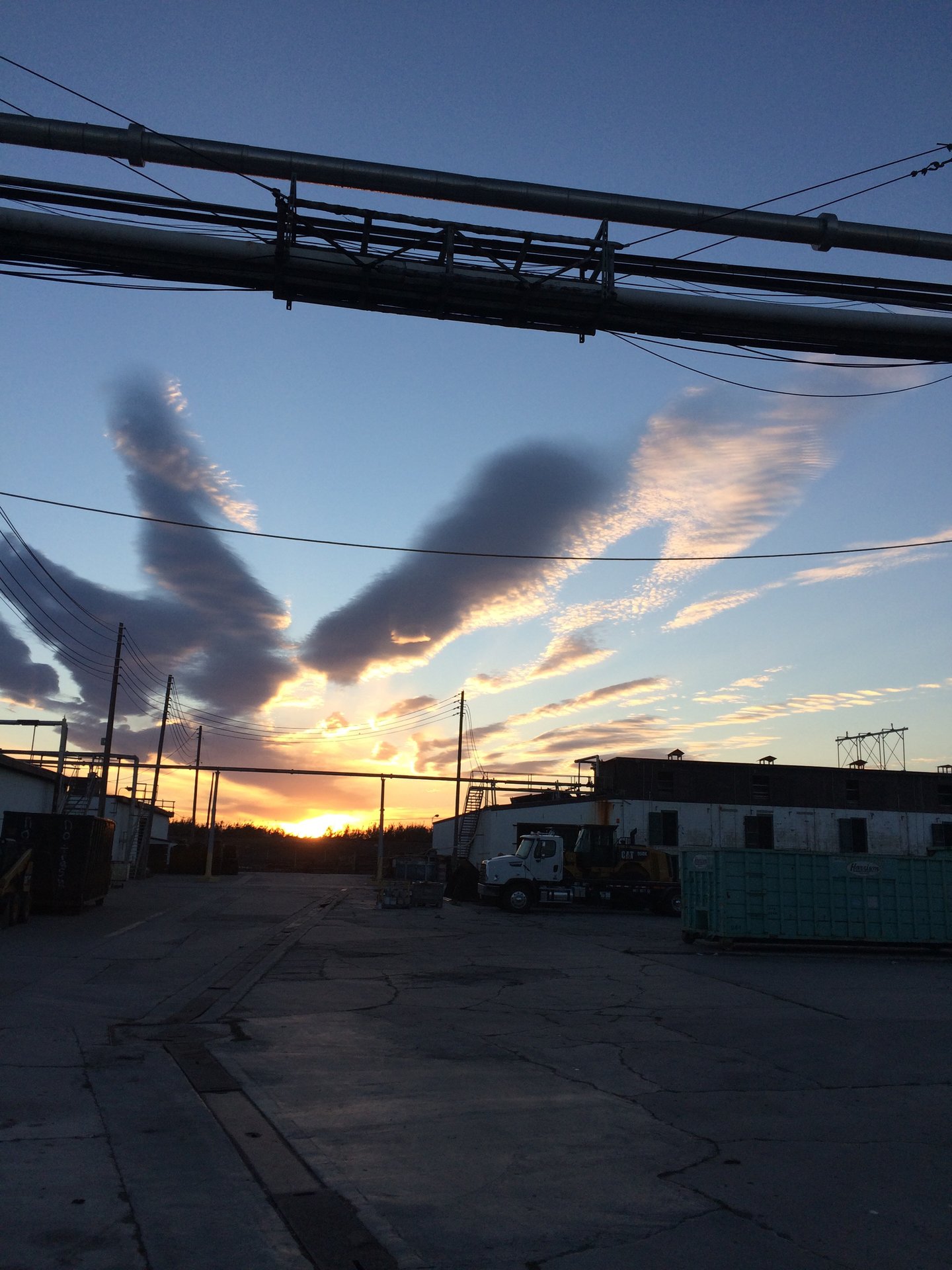 Mushroom farm sunrise