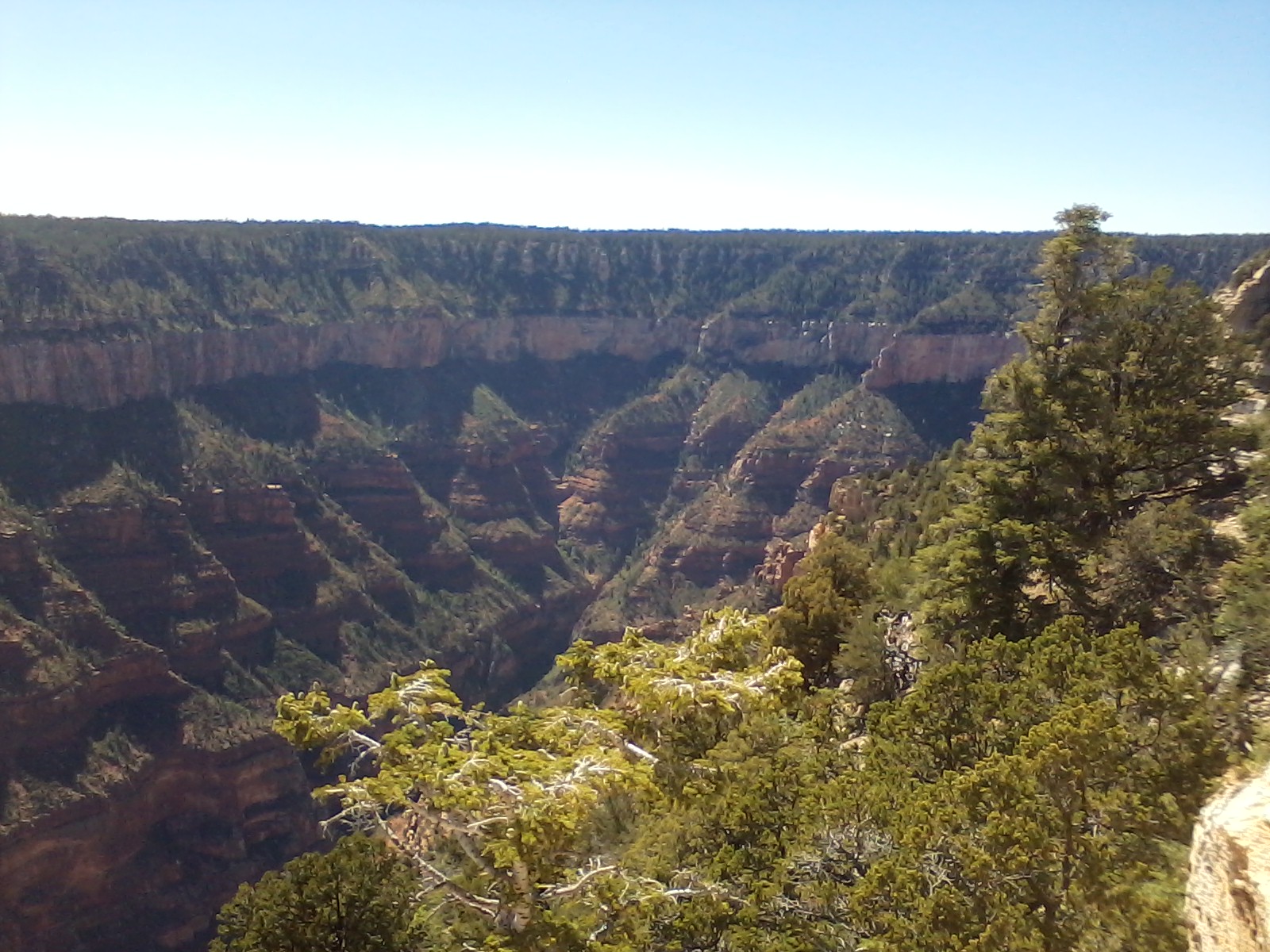 North Rim Grand Canyon