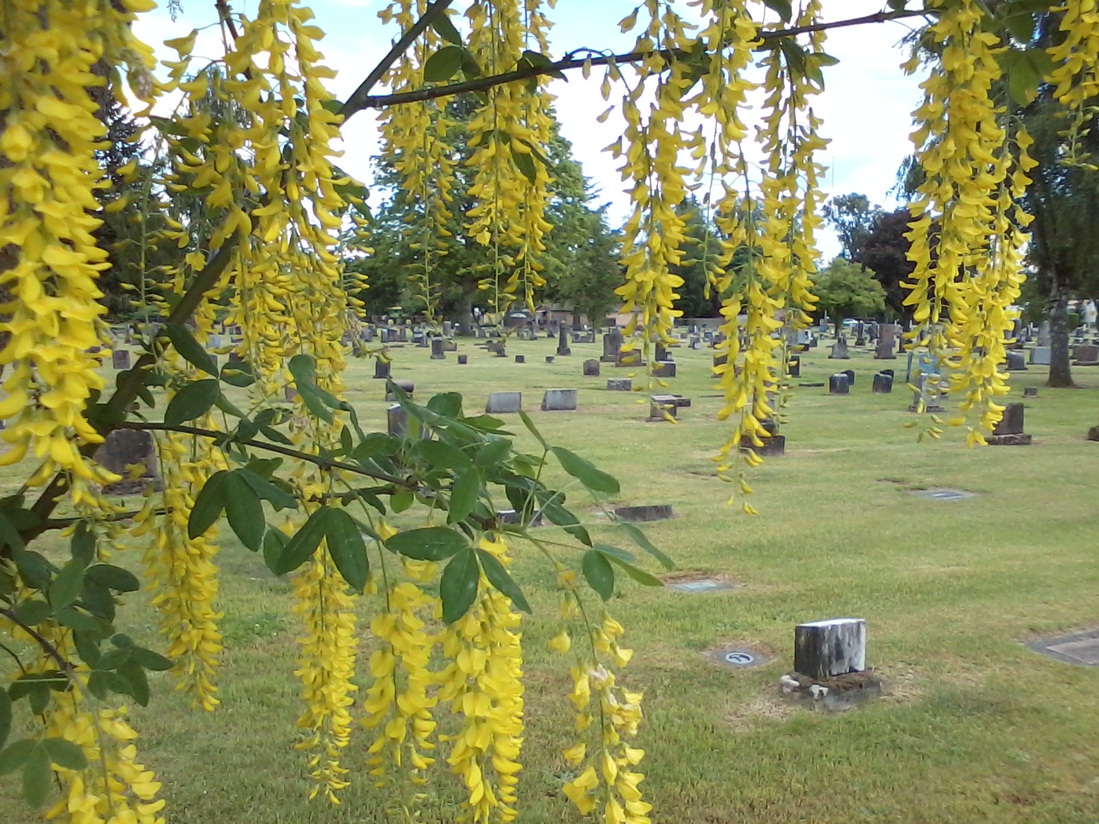 old pioneer cemetery in sumner wa