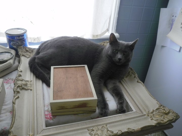 Pagan thinks he's an artist, I guess - this one was taken in 2010, and he loved to jump on mom's work table!