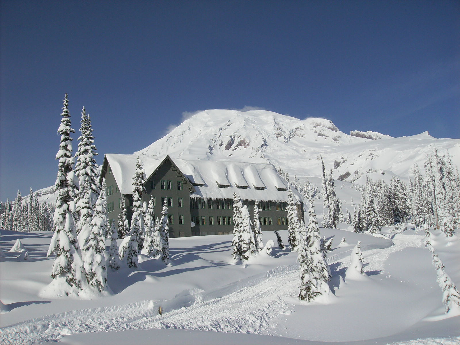 paradise building on mount rainier