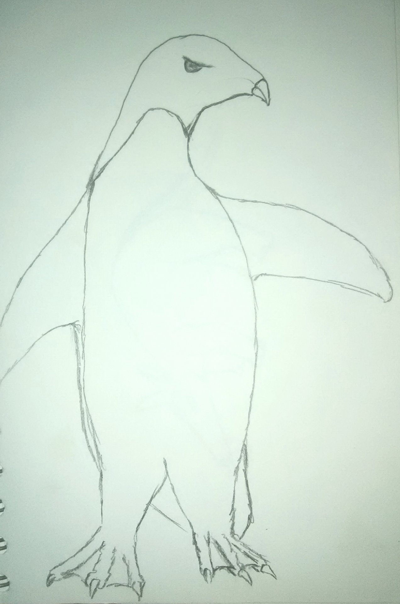 Penguin