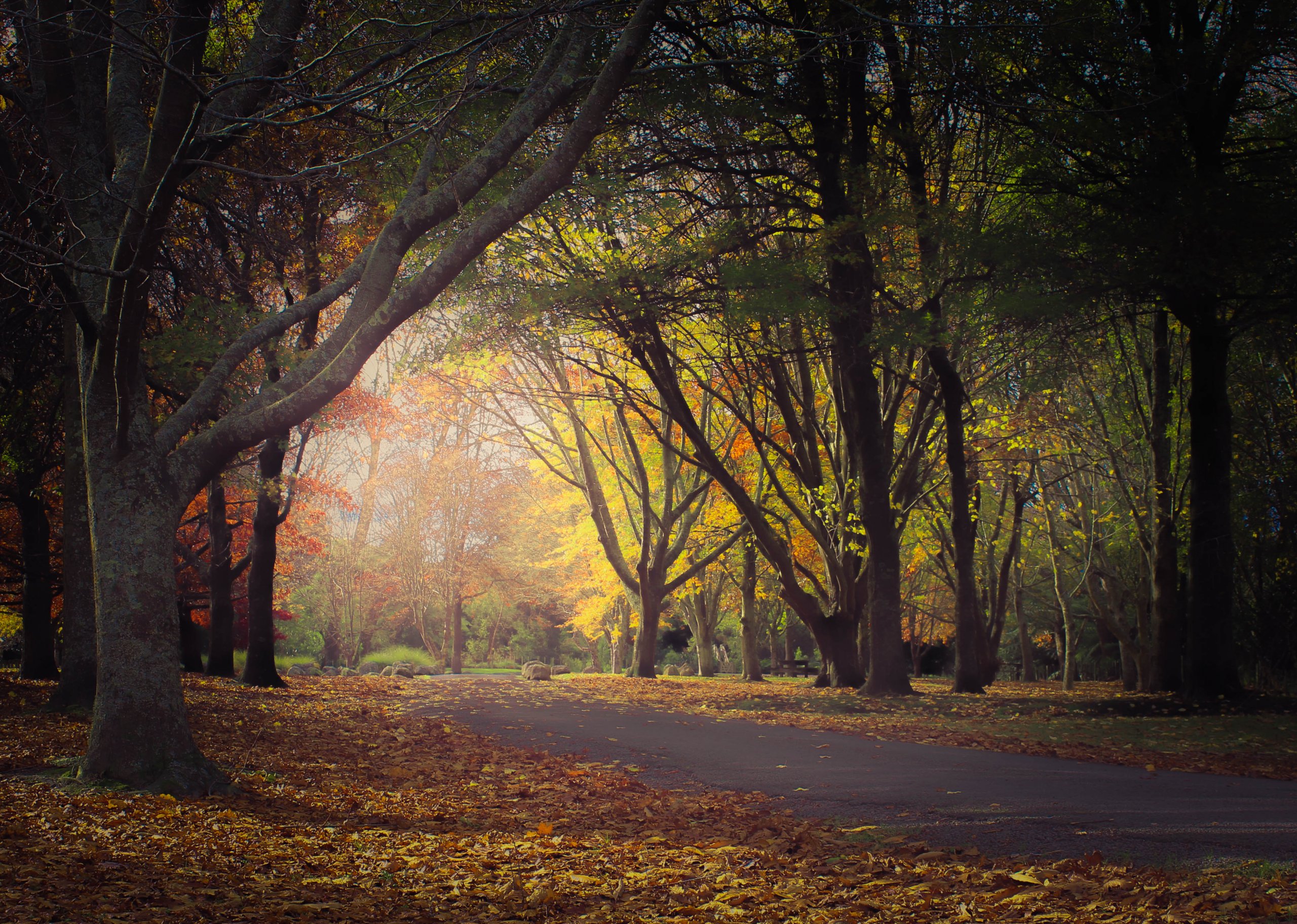 Queens Park, Hunterville, New Zealand