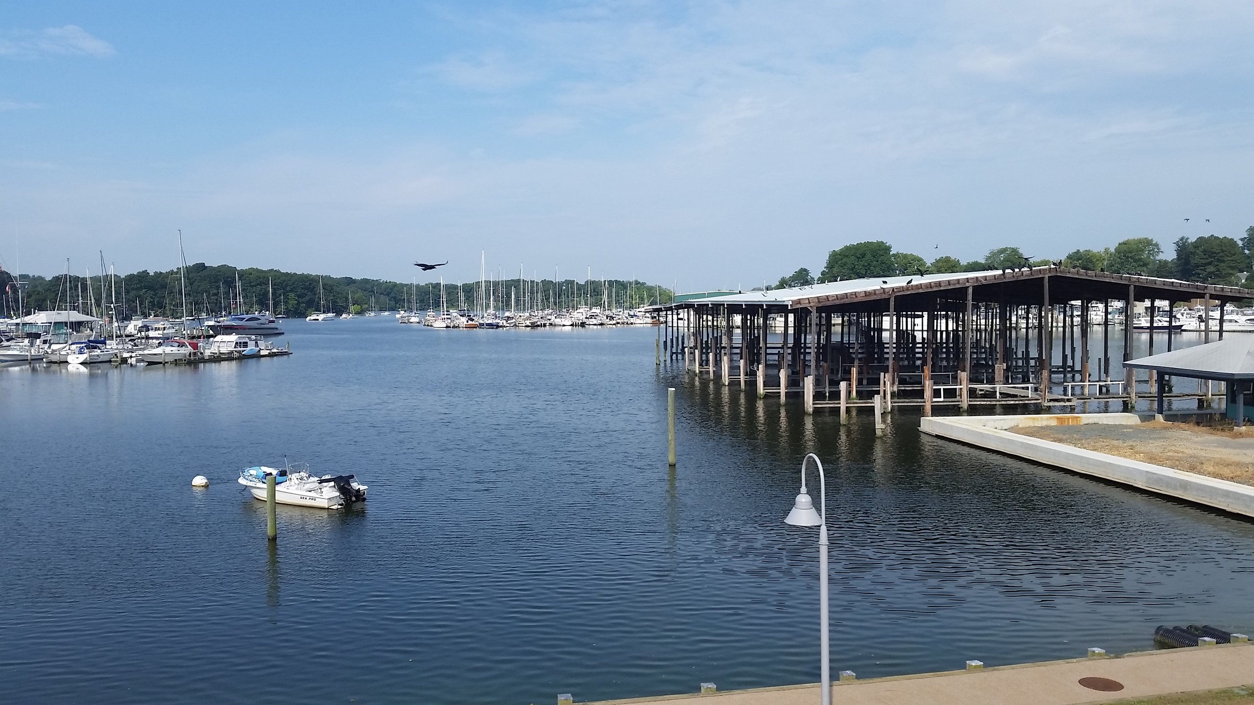 Sassafras river docks