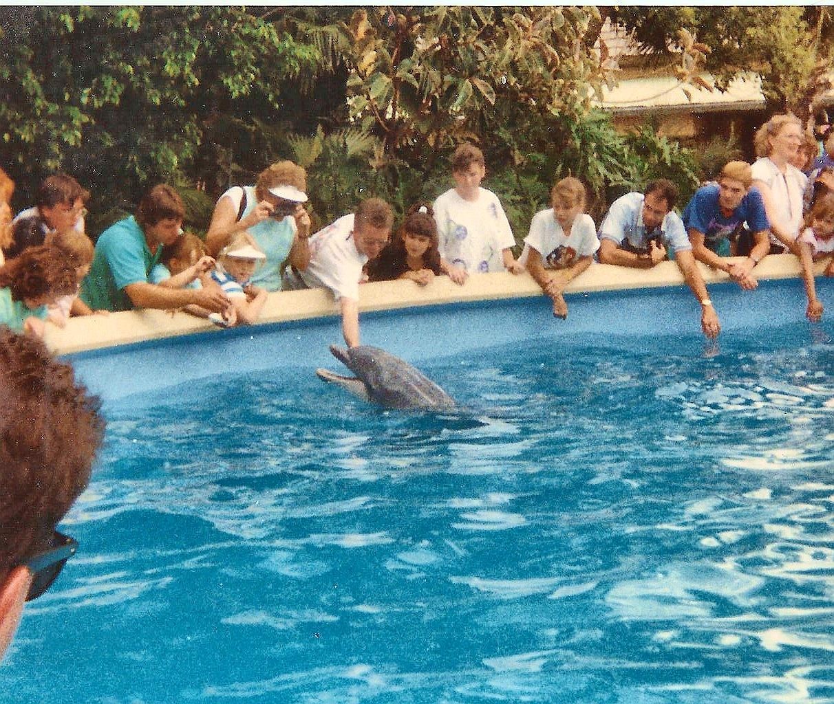 Seaworld 88'