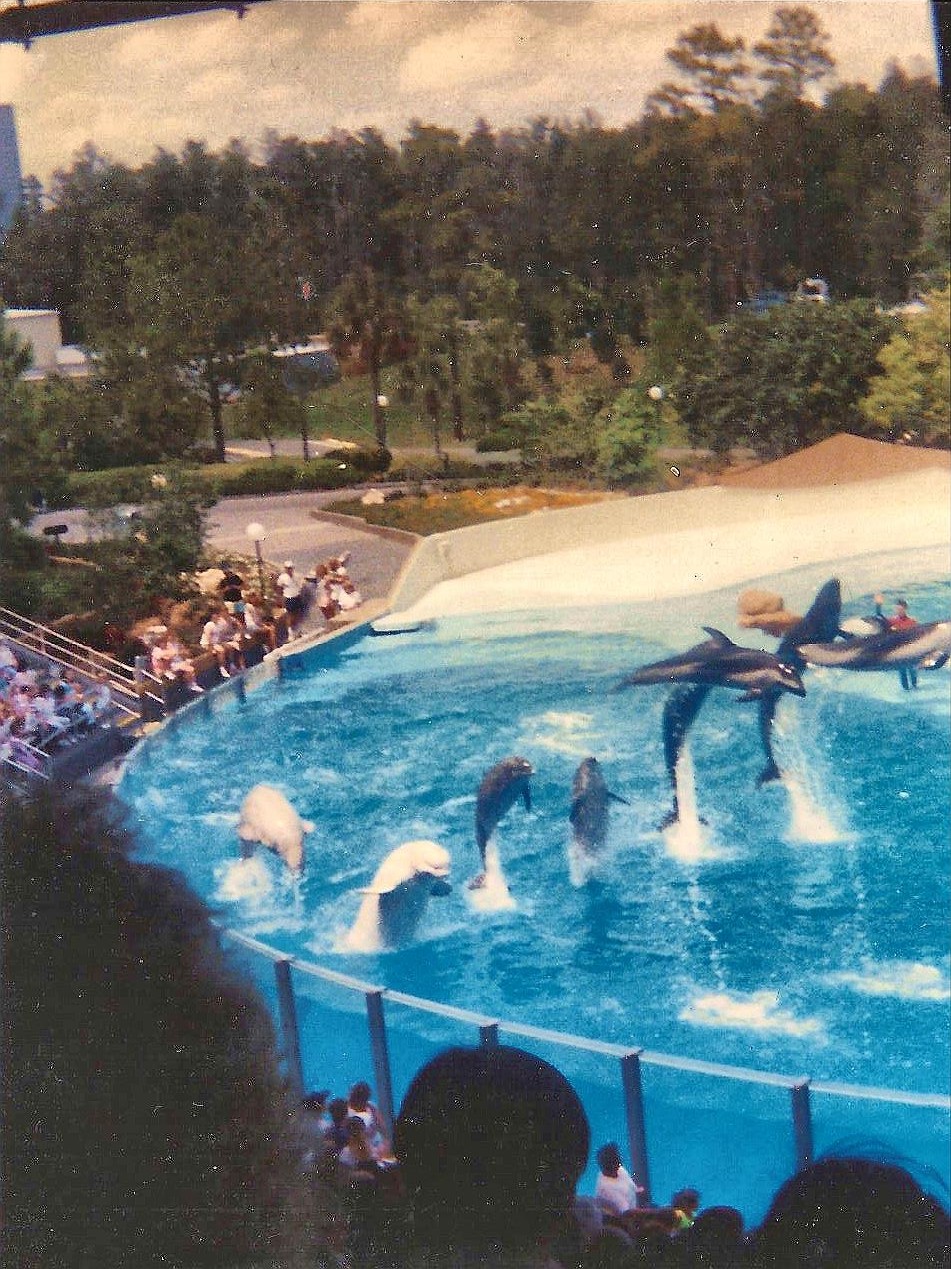 Seaworld 88'