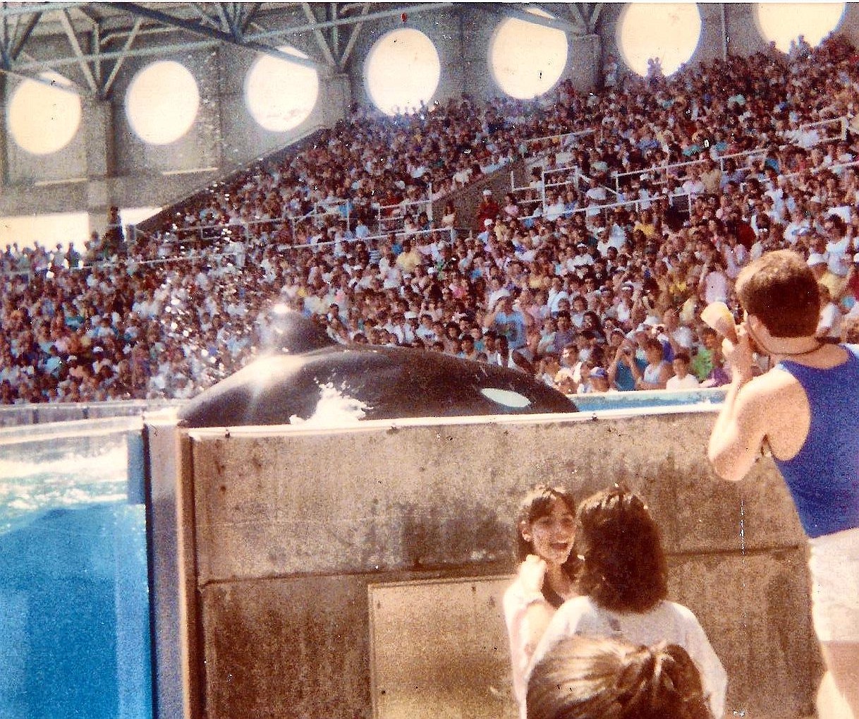 Seaworld 88'