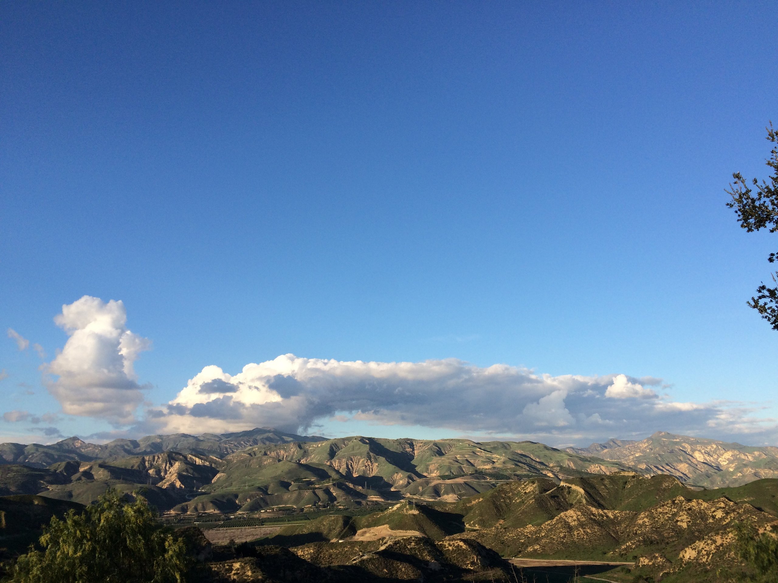 Some oil fields of California.