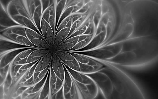 Stunning-fractal-020