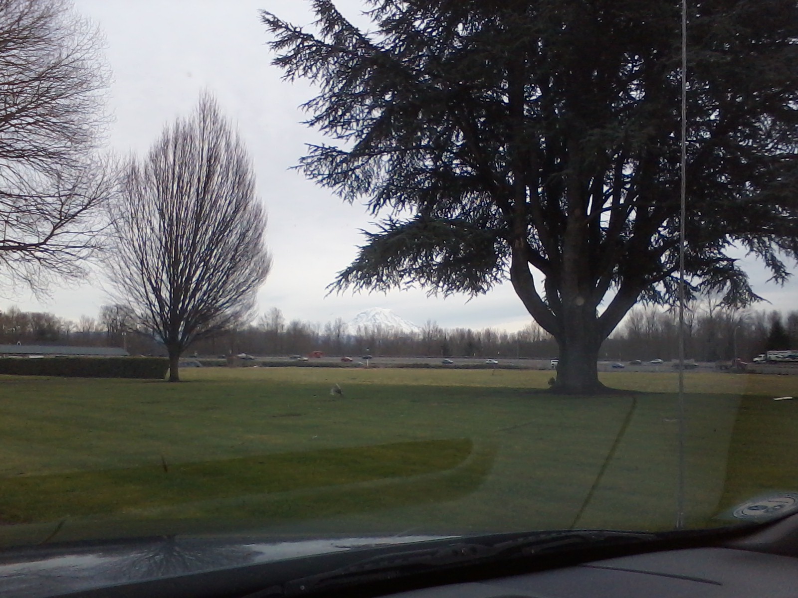 sumner wa cemetery looking towards the highway with mount rainier in the background