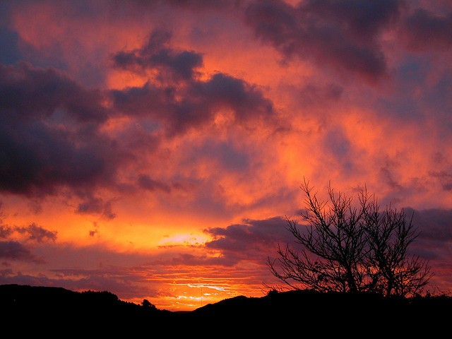 Sunset near Wellington NZ