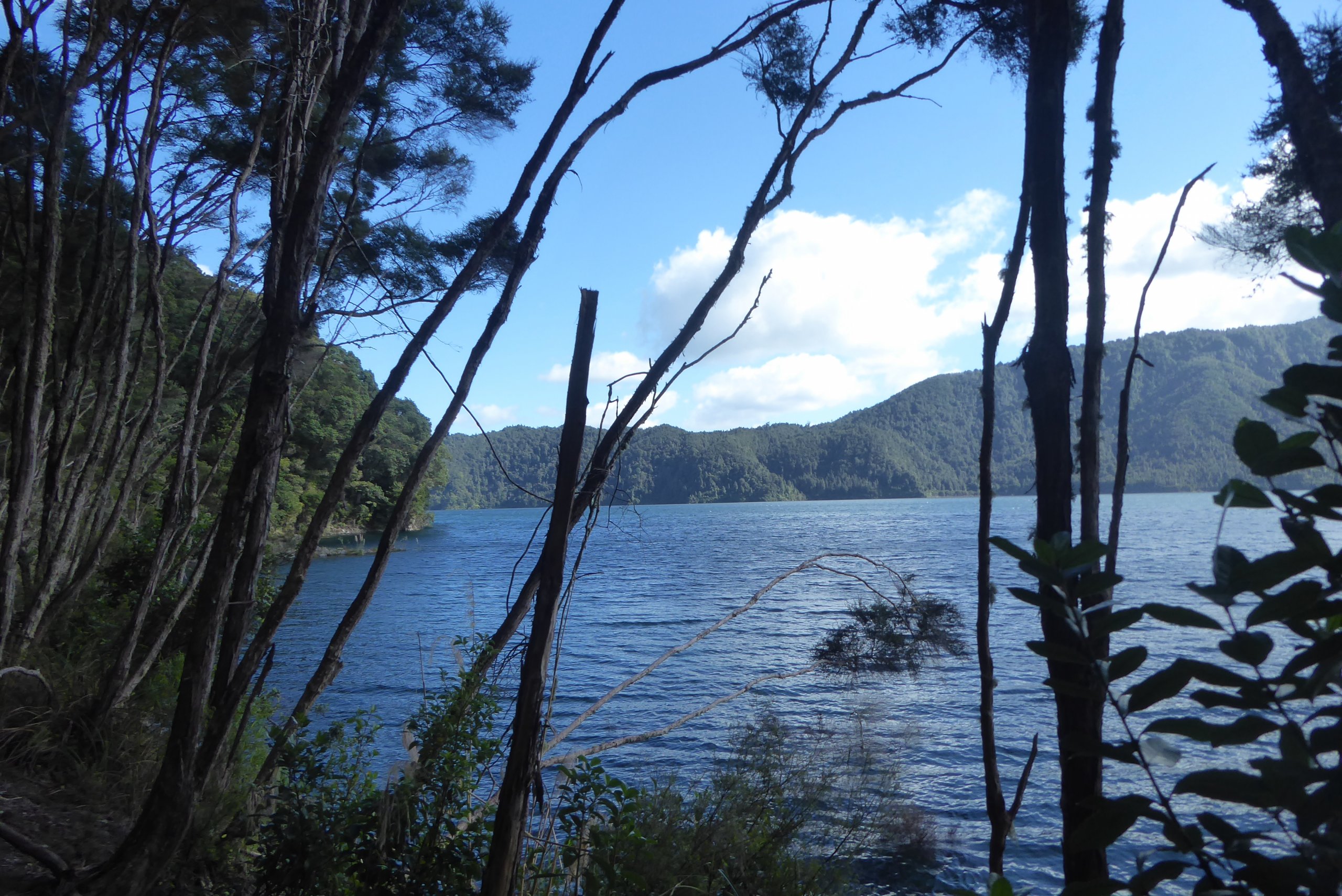 The First Clearing---Lake Okataina