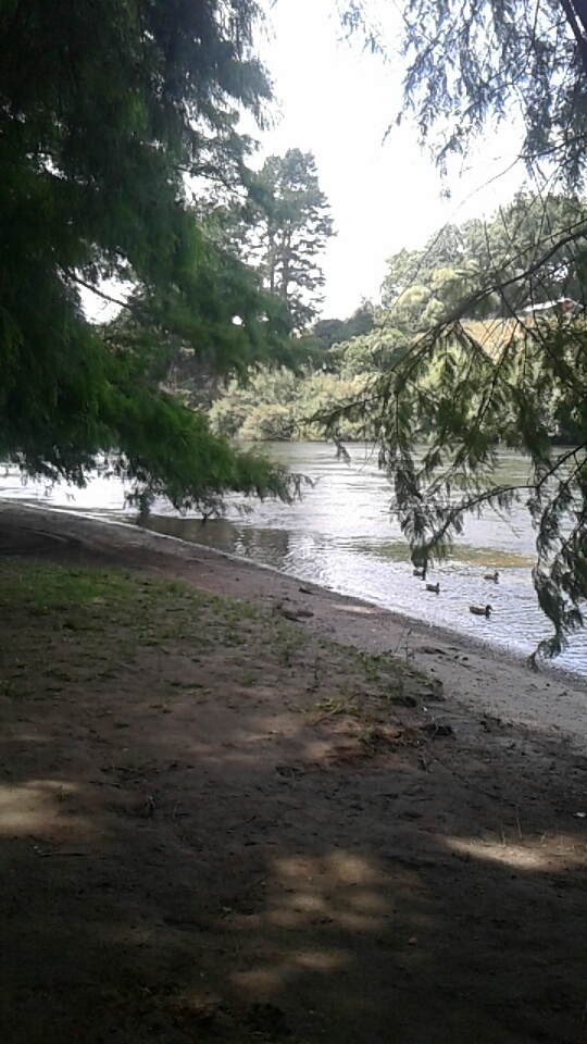 Waikato River