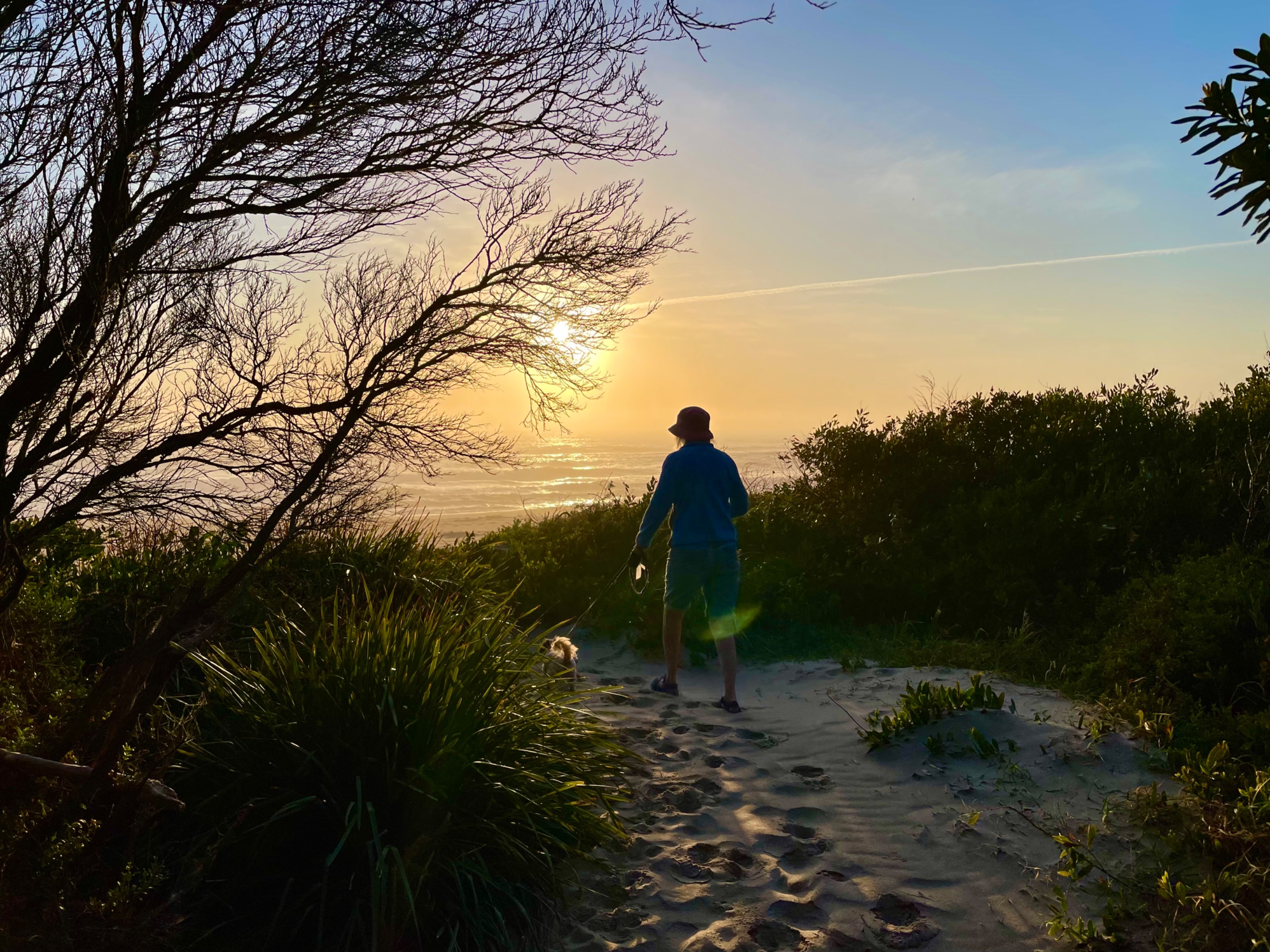 Walking to the Beach