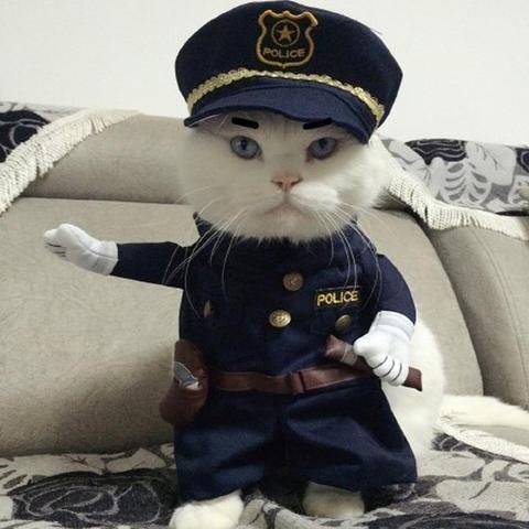 e1030b033cd122bb4677eabdc89695f6--police-cat-costumes.jpg