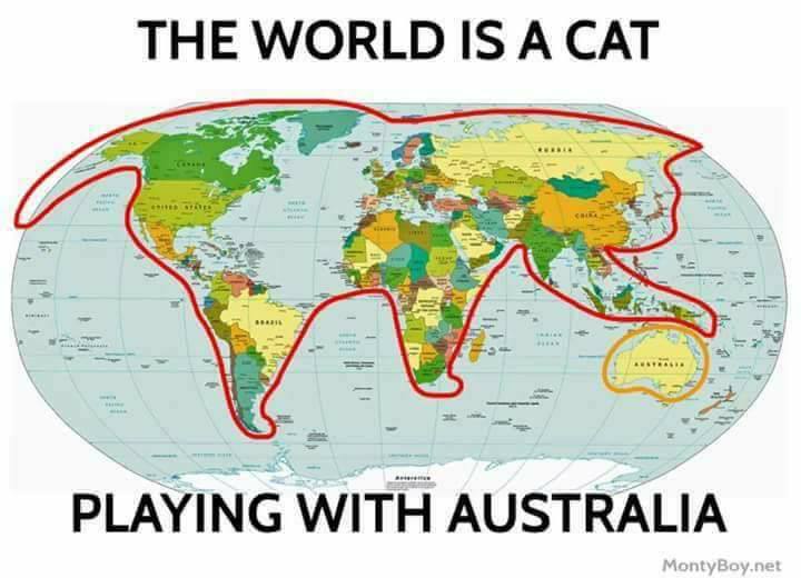 world-cat.jpg