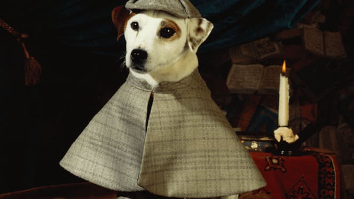 Wishbone' TV Show Facts | Mental Floss