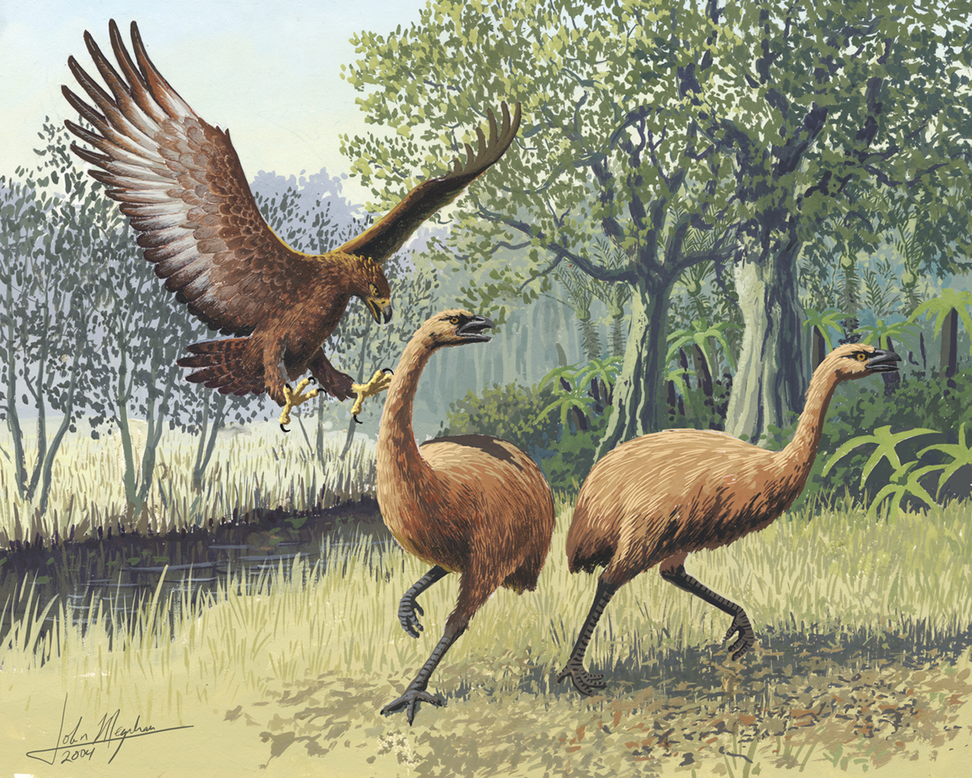 Giant_Haasts_eagle_attacking_New_Zealand_moa.jpg