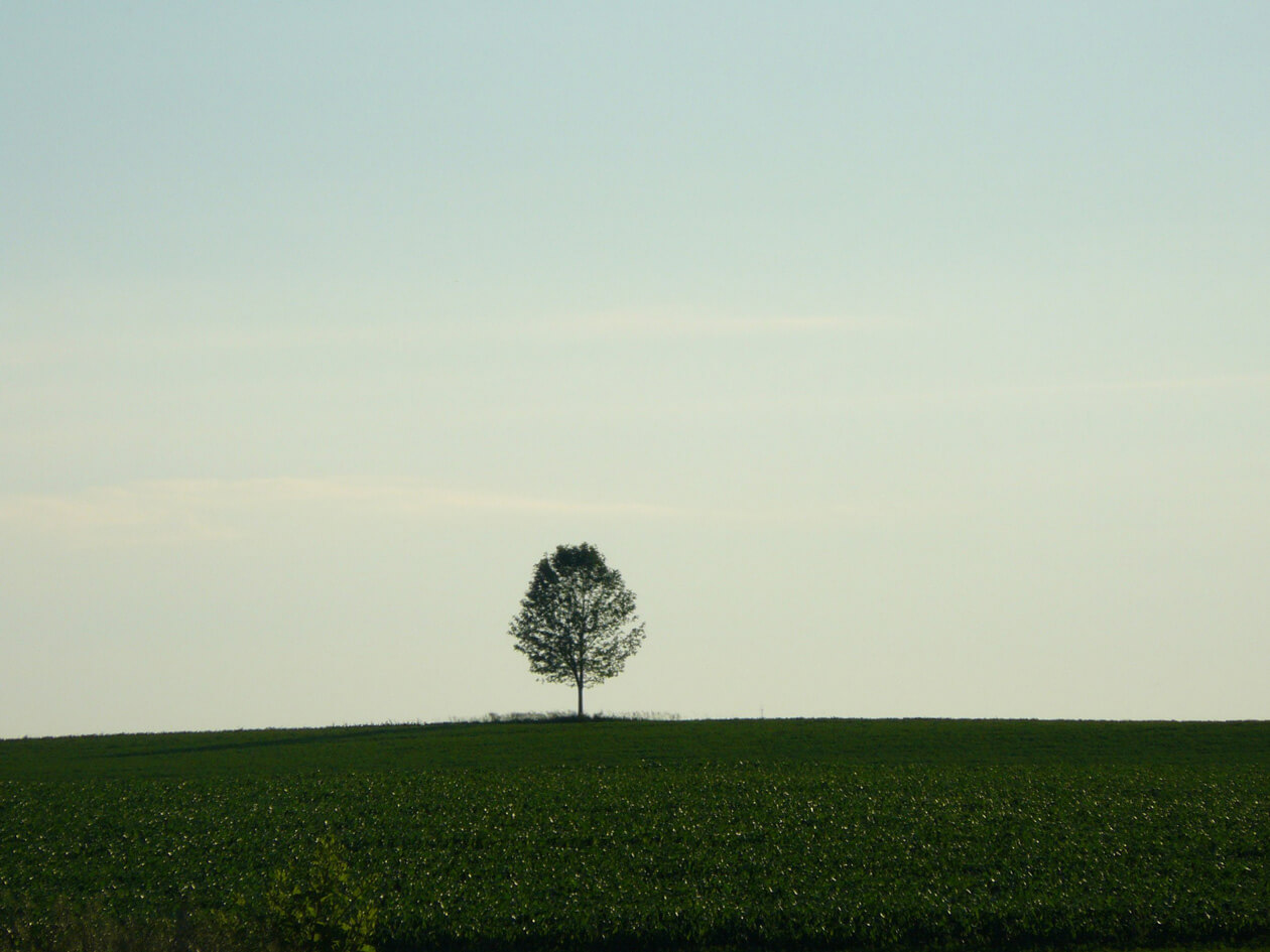 The Benefits of Solitude | The Walrus