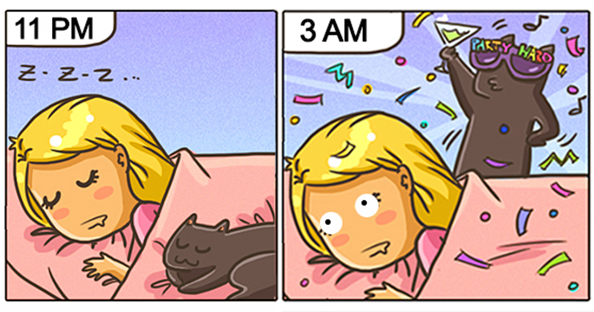 life-with-funny-cats-comics-catsu-raw.png