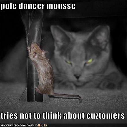 funny-pictures-pole-dancer-mouse-watching-cat.jpg