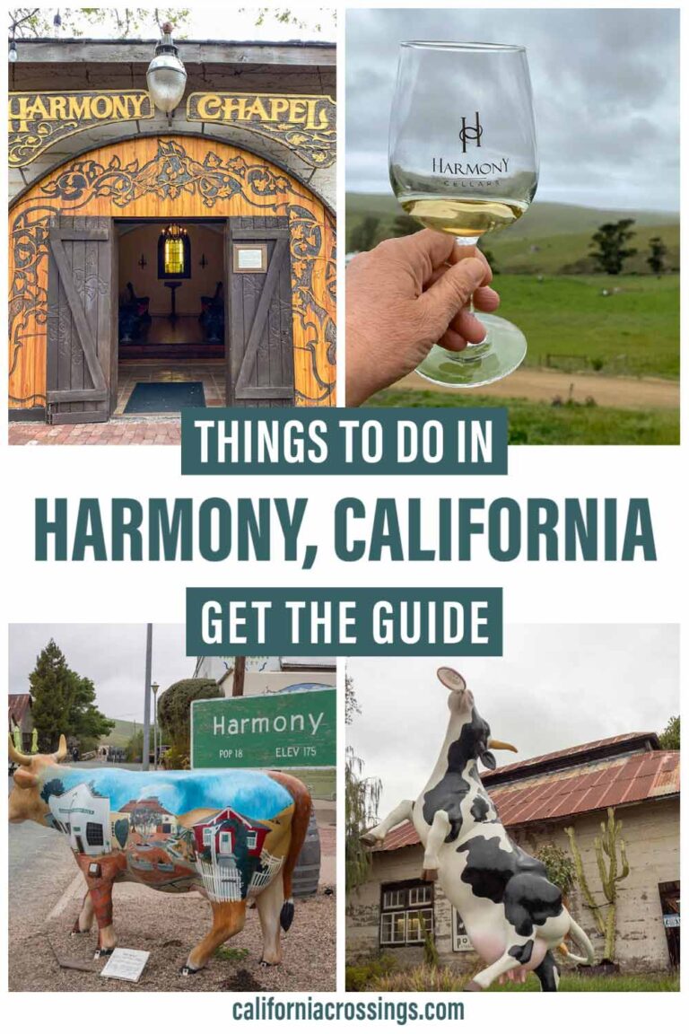 harmony-california-things-to-do-768x1152.jpg