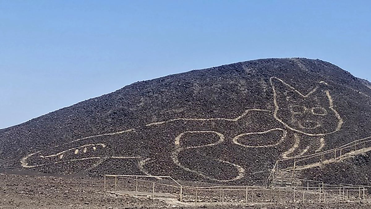 Giant 2,000-year-old cat found etched into desert hillside in Peru | The  Independent