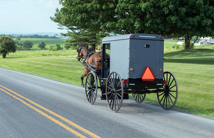 5 Reasons to Visit Amish Country. Attractions, Restaurants, Shopping,  Hotels.