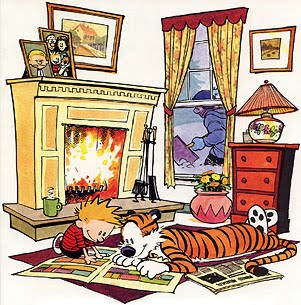 Experimental Theology: Goodbye Calvin and Hobbes (Until Christmas)