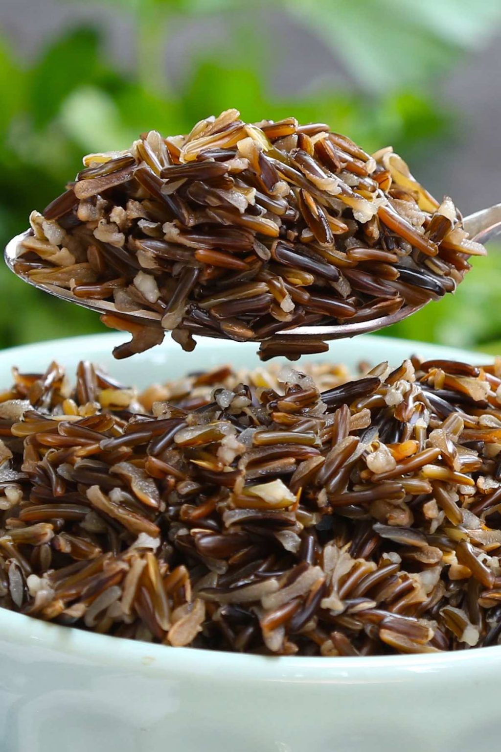 Wild-Rice-2-1024x1536.jpg