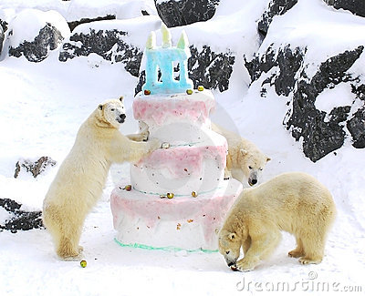 polar-bears-giant-birthday-cake-5796563.jpg