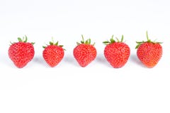 group-five-strawberries-isolated-white-ripe-juicy-background-47403970.jpg