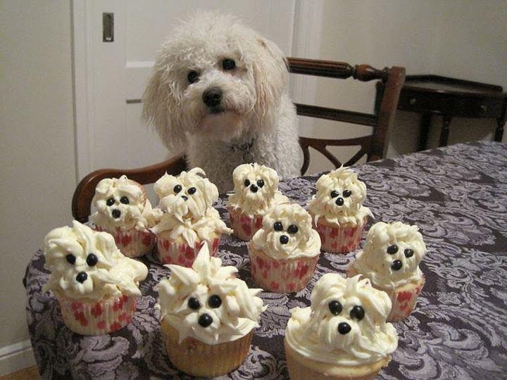 pupcakes13.jpg