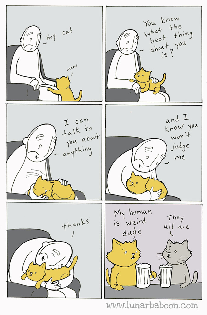 cat-comics-lunarbaboon-28__700.jpg