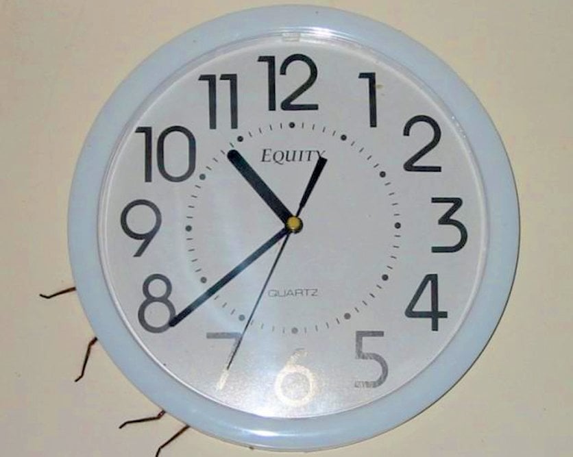 clock-spider.jpg