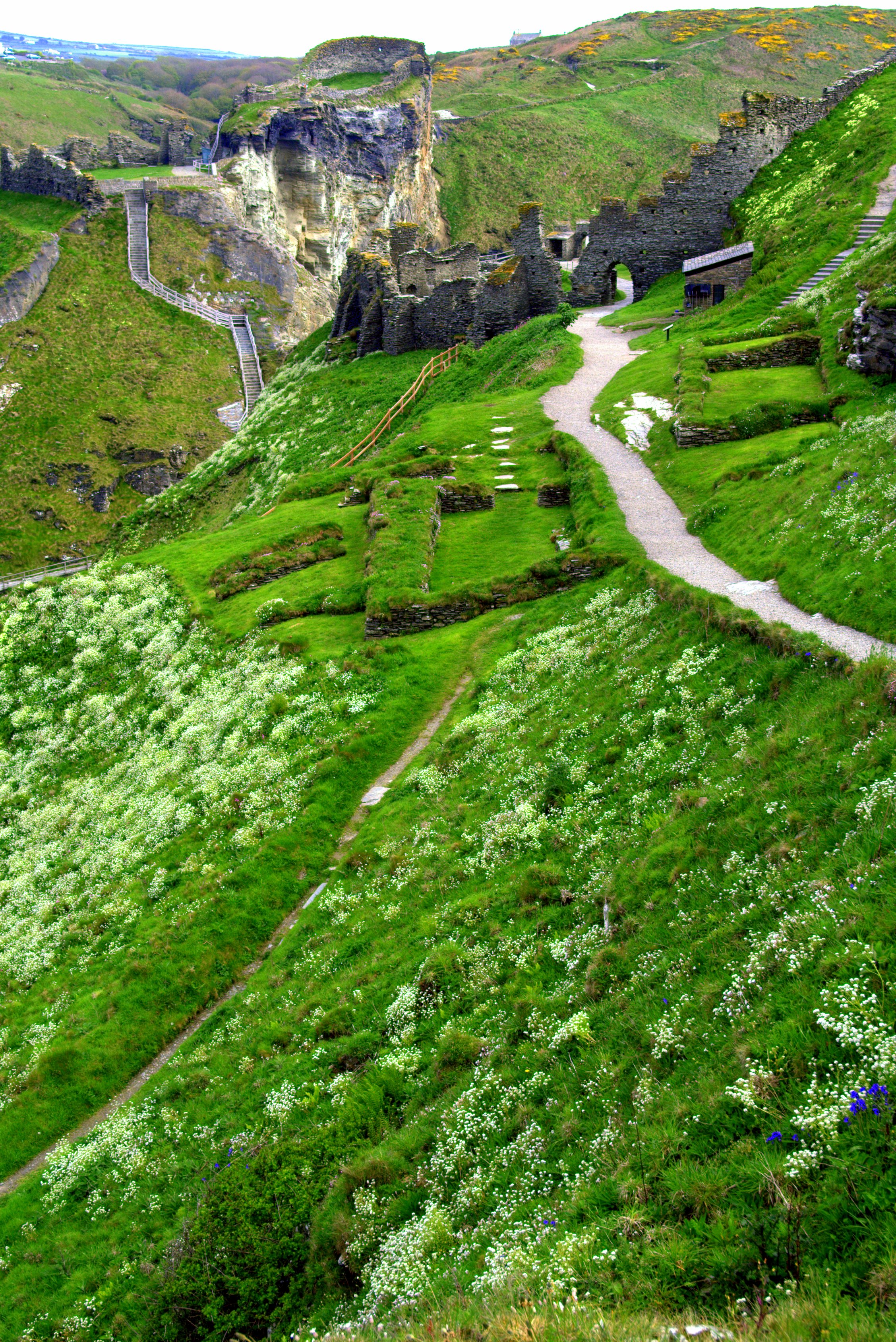 Tintagel-greenery.jpg