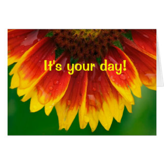 bursting_with_wishes_sunflower_birthday_card-r0515f6d9591b43d99d9faac19e76ee1a_xvua8_8byvr_324.jpg