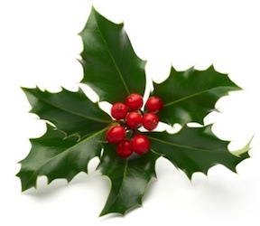 christmas-holly.jpg