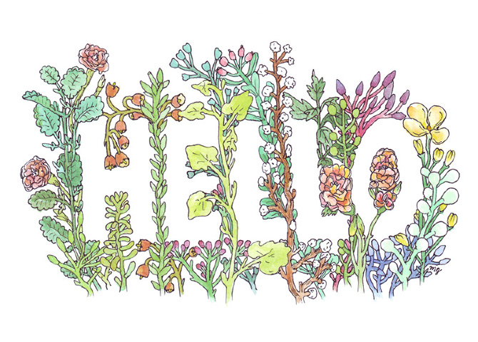 hello-in-flowers-web.jpg