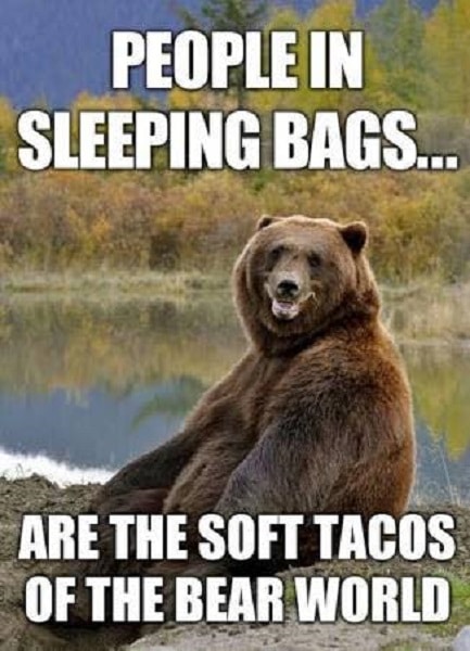 camping-meme-bear-tacos.jpg