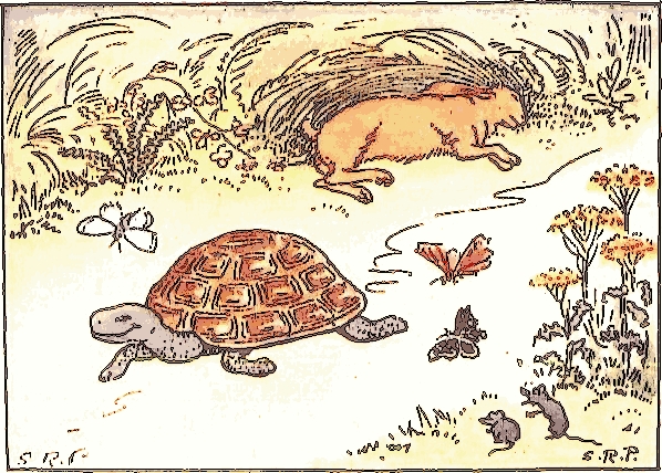 Tortoise_and_Hare.jpg