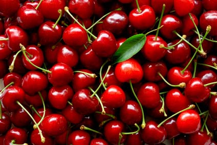 Burgsdorf-cherry.jpg