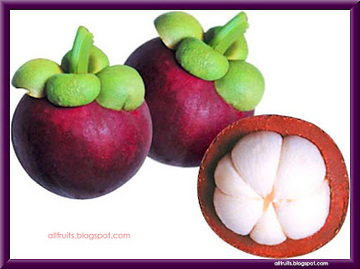 mangosteen+5.jpg